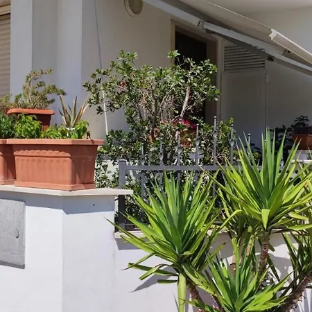 Dimora Nonna Angela * ألبيروبيللو